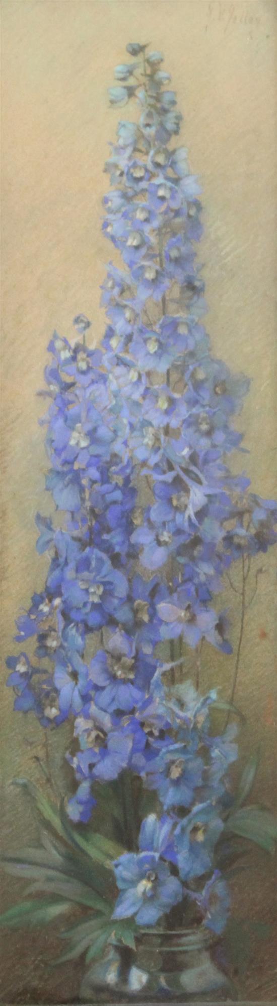 James Valentine Jelley (1885-1942) Study of Delphiniums in a vase 20.25 x 6.25in.